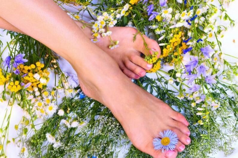 Healthy feet are free of fungus