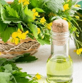 Cylandin in the fight against fungi